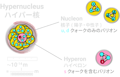 ハイペロンが束縛した原子核・「ハイパー核」の図