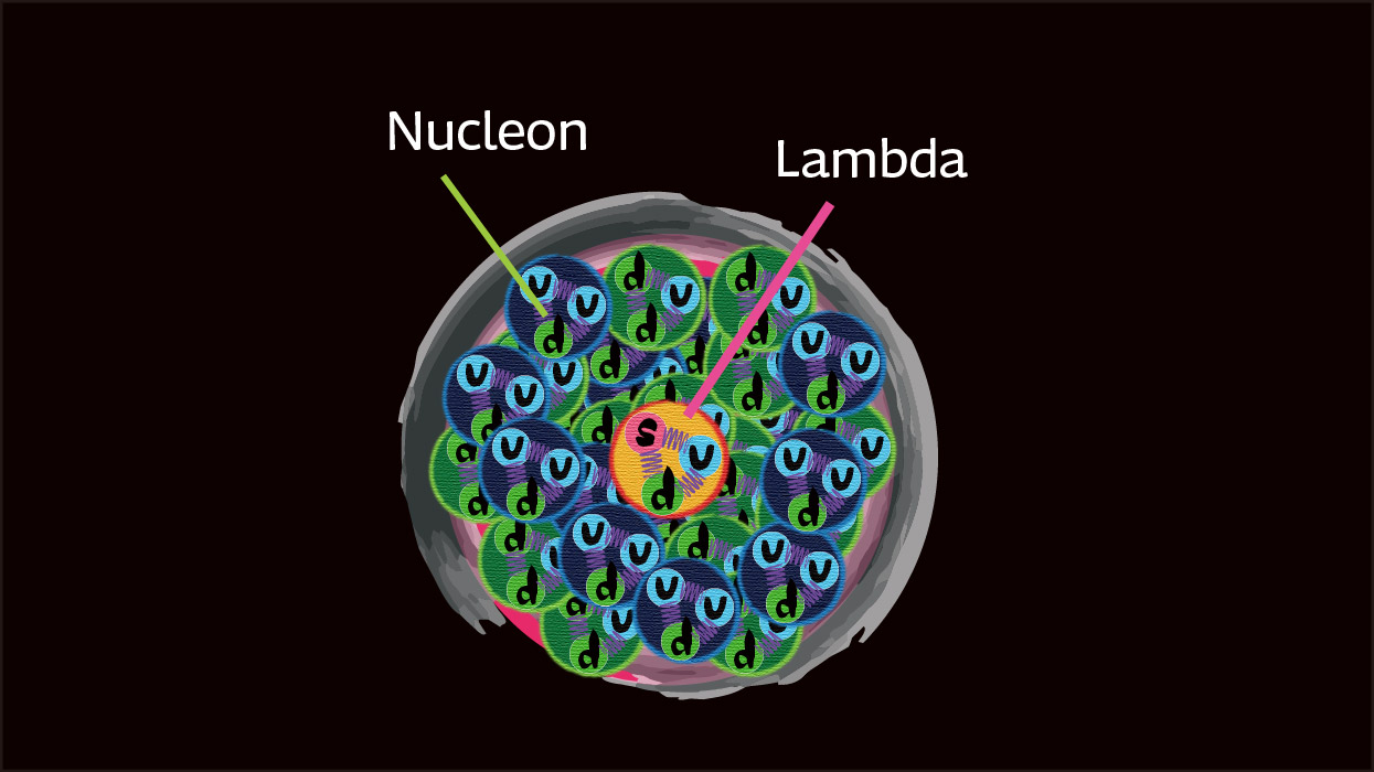 Hypernucleus Concept